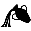 Aquarius